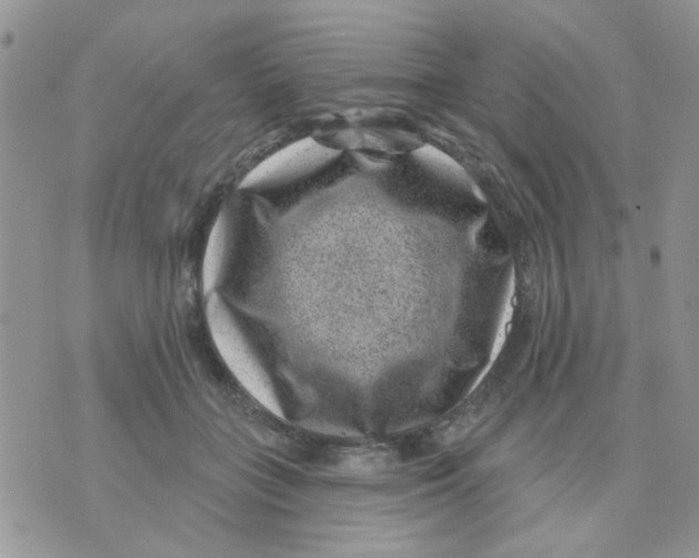 X0000071340555200607212035