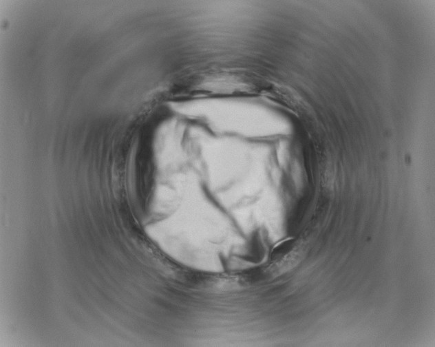 X0000071340569200607212035