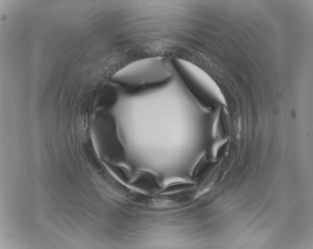 X0000071340605200607212034