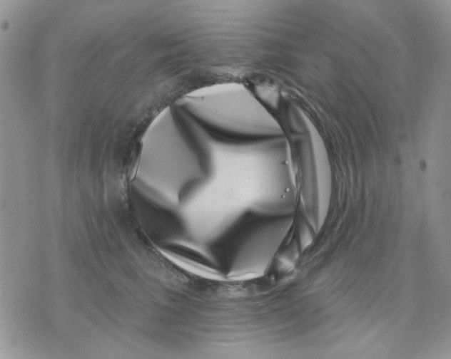 X0000071340613200607212034