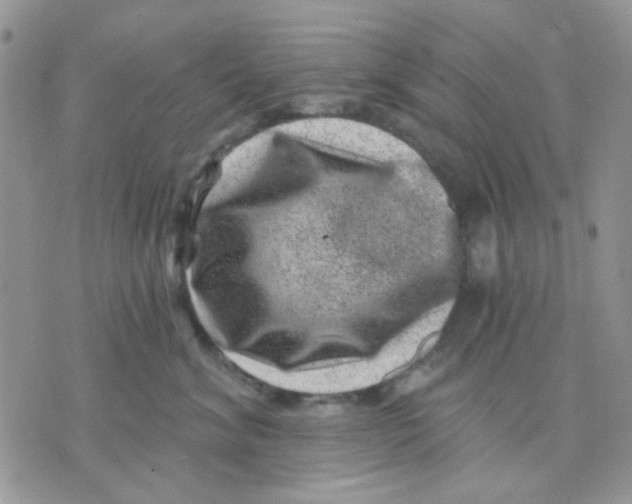 X0000071340620200607212034