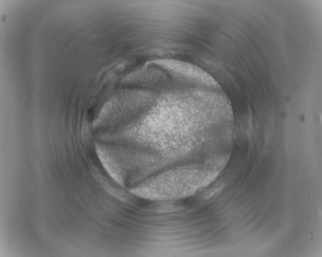 X0000071340623200607212033