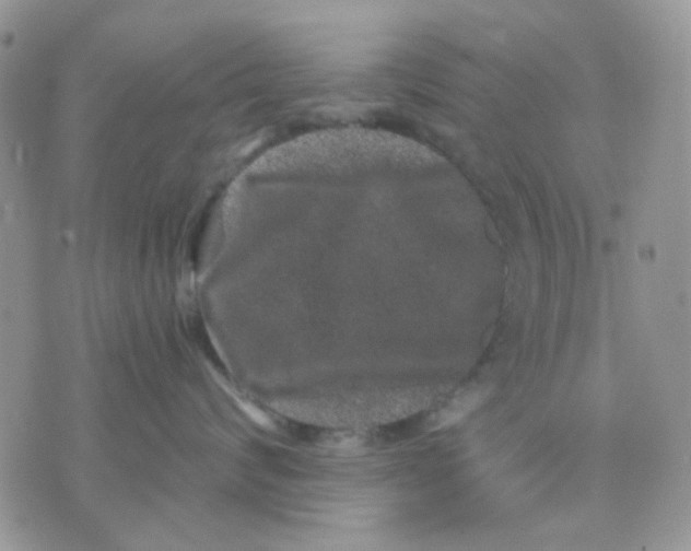 X0000071340624200607212033