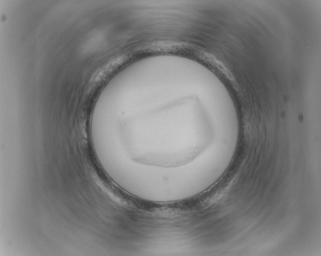X0000071340633200607212033