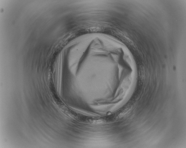 X0000071340645200607212033