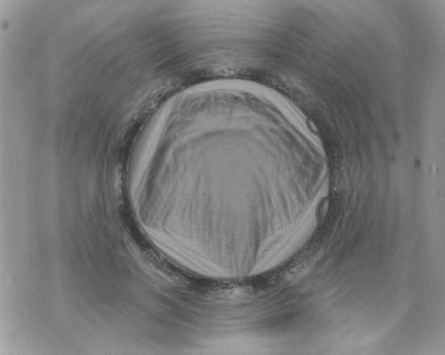 X0000071340646200607212033