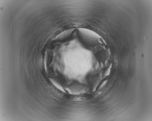 X0000071340657200607212033