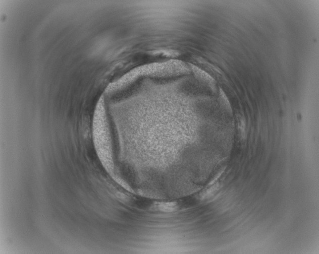 X0000071340665200607212033