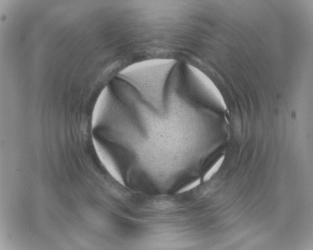 X0000071340668200607212033
