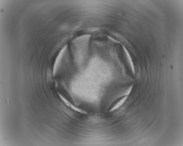 X0000071340669200607212033