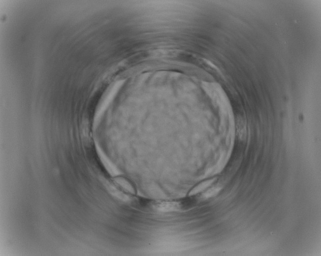 X0000071340670200607212033