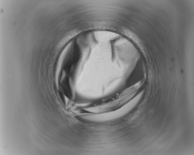 X0000071340673200607212033