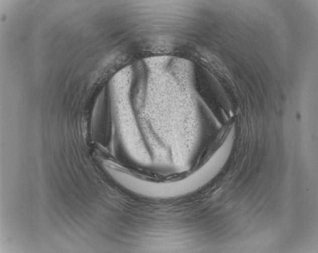 X0000071340697200607212032