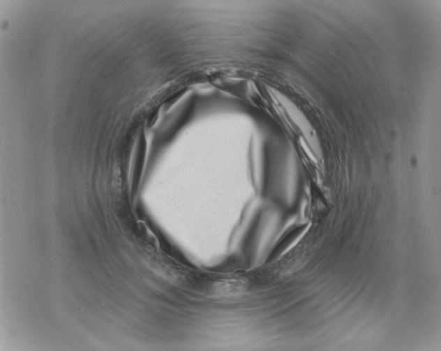 X0000071340700200607212032