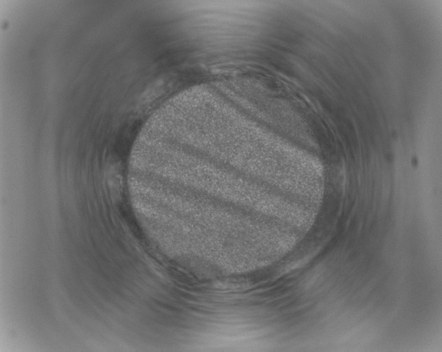 X0000071340707200607212032