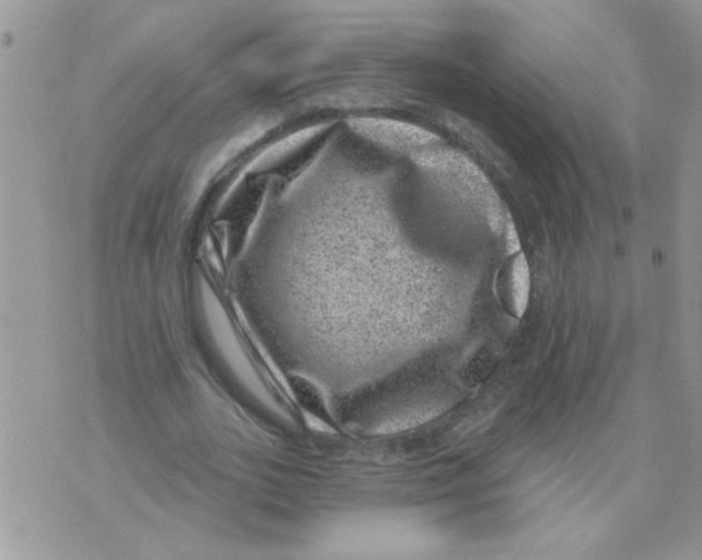 X0000071340727200607212031
