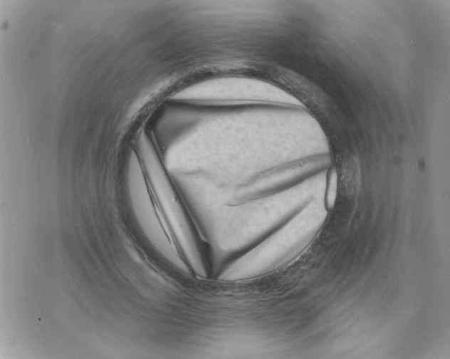 X0000071340732200607212031
