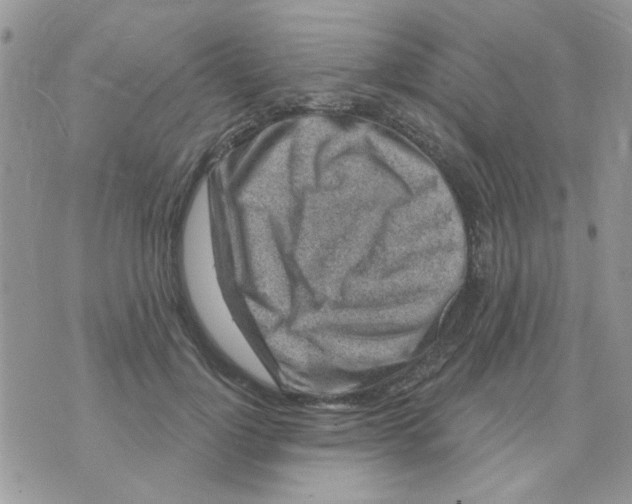X0000071340748200607212032