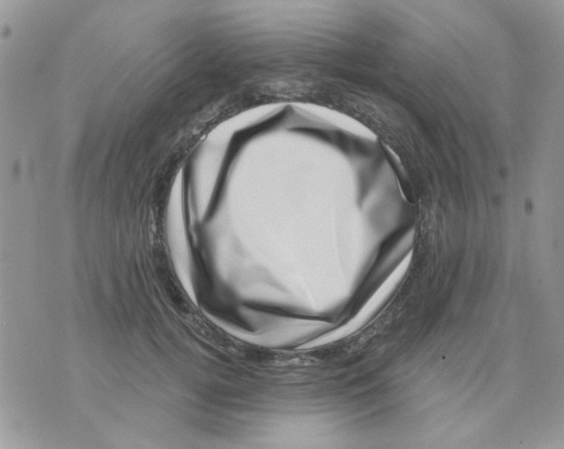 X0000071340752200607212032