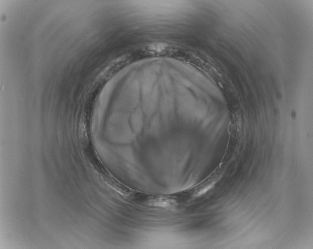 X0000071340754200607212032