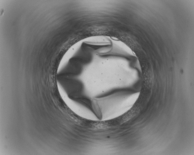 X0000071340755200607212032