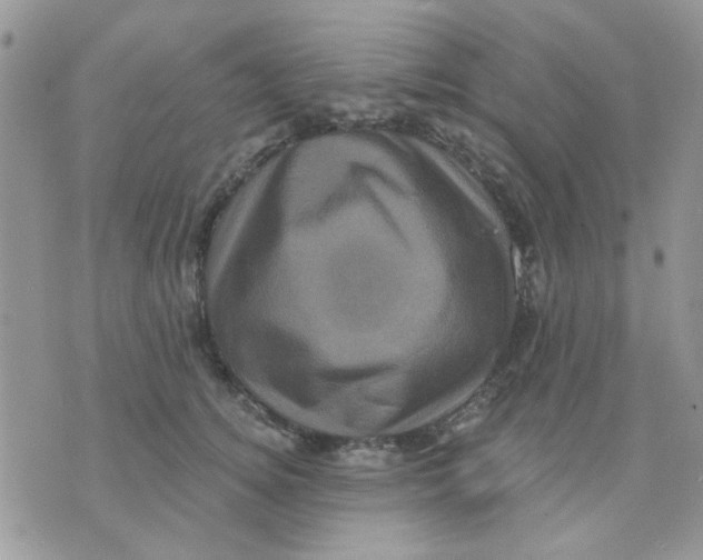 X0000071340756200607212032