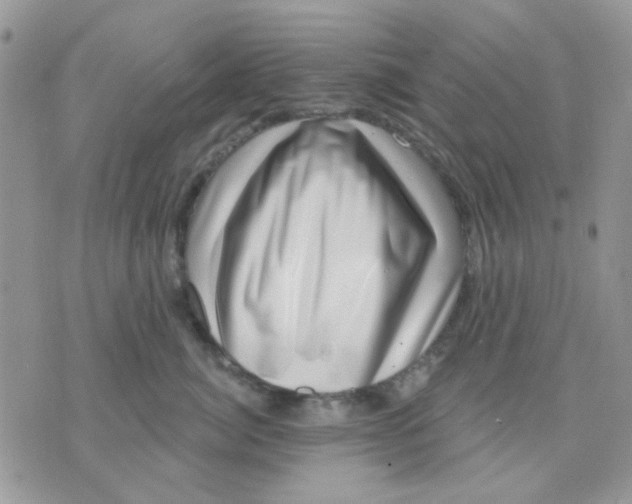 X0000071340764200607212032