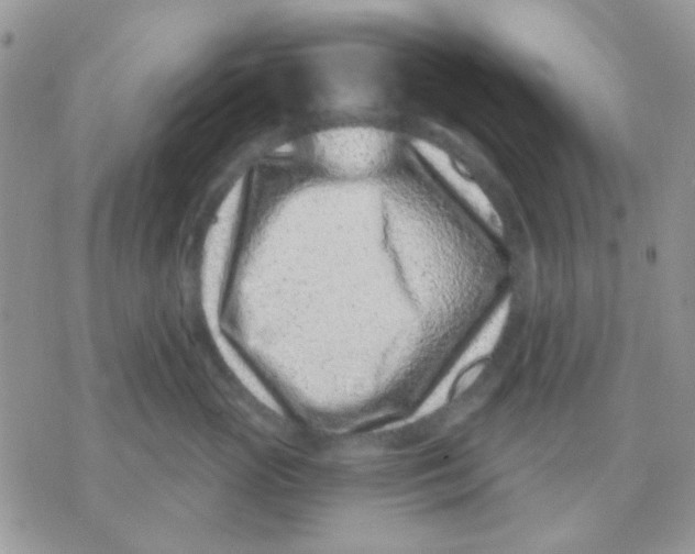 X0000071340765200607212032