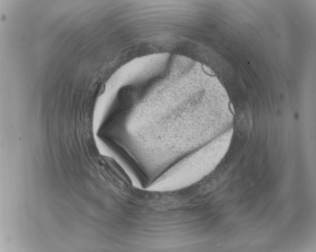 X0000071340772200607212031