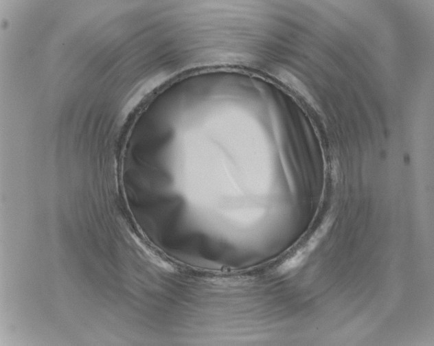 X0000071340781200607212031