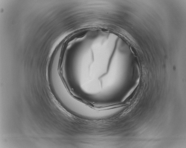 X0000071340788200607212031