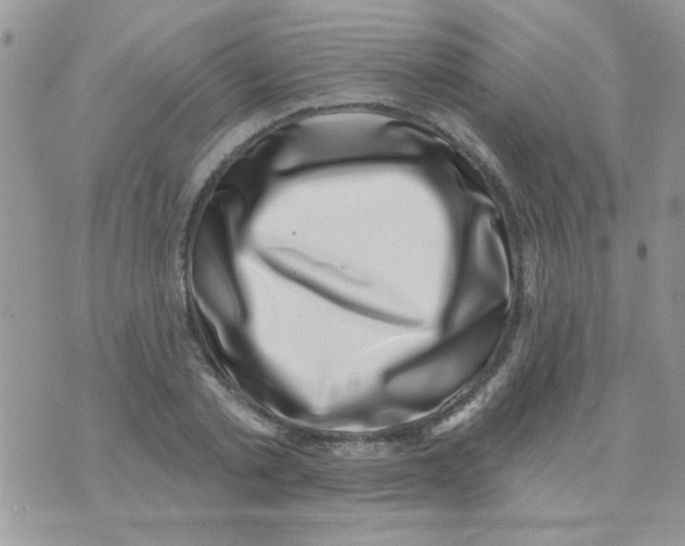 X0000071340789200607212031