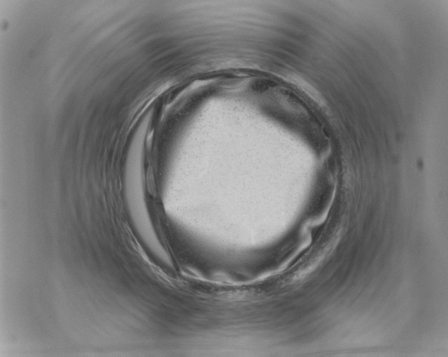 X0000071340793200607212031