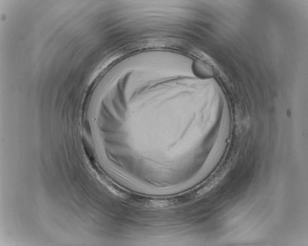 X0000071340794200607212031