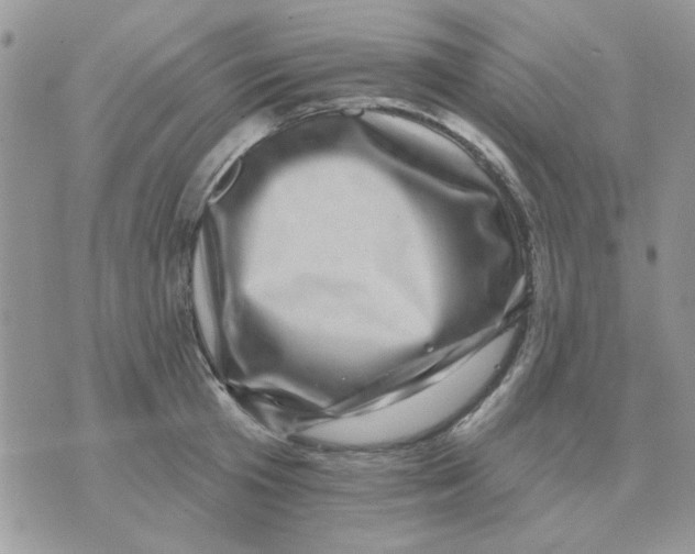 X0000071340801200607212031
