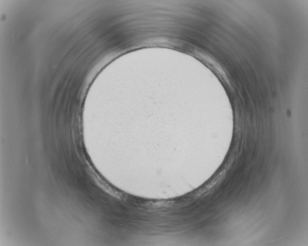 X0000071340808200607212030
