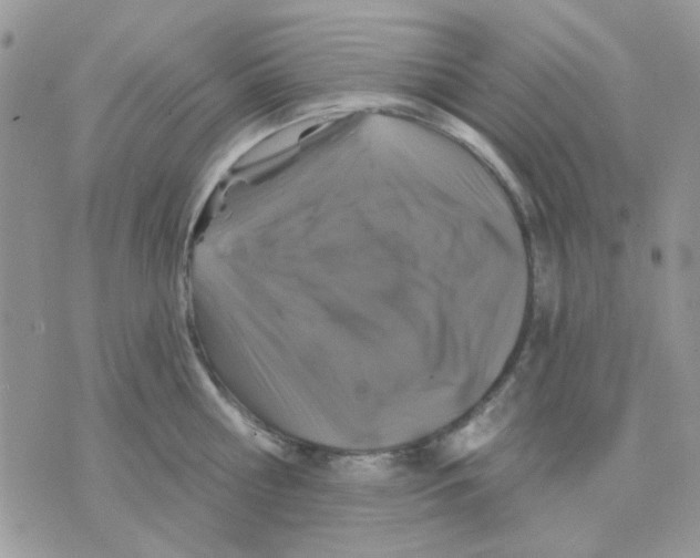 X0000071340810200607212030