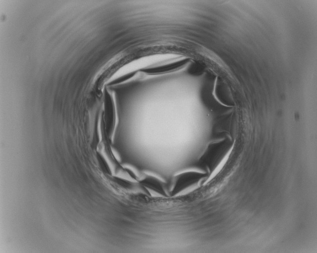 X0000071340826200607212030