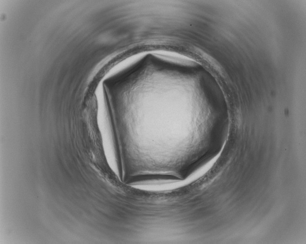 X0000071340829200607212030