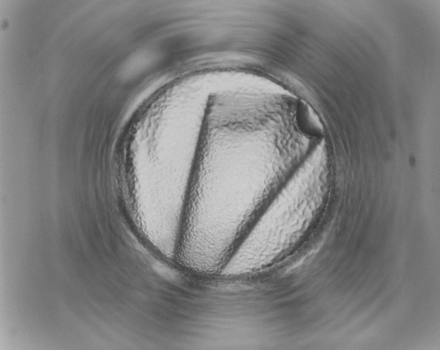 X0000071340835200607212030