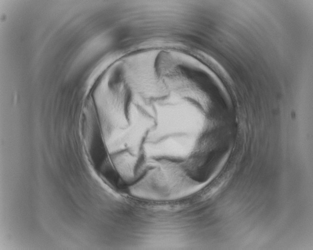 X0000071340855200607212030