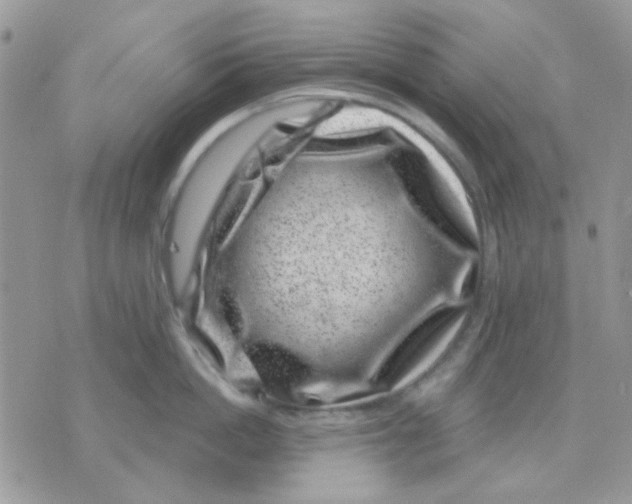 X0000071340862200607212030