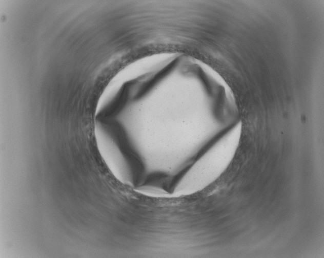 X0000071340870200607212029