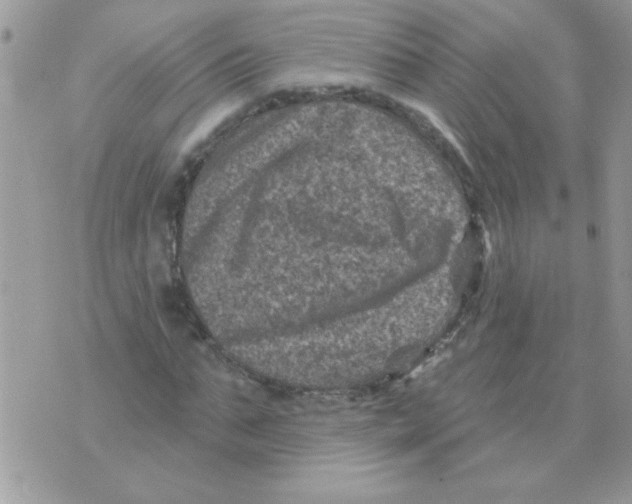 X0000071340871200607212029