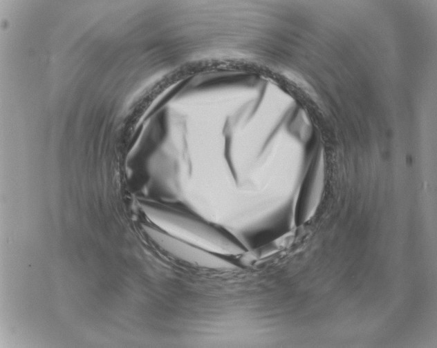 X0000071340872200607212029