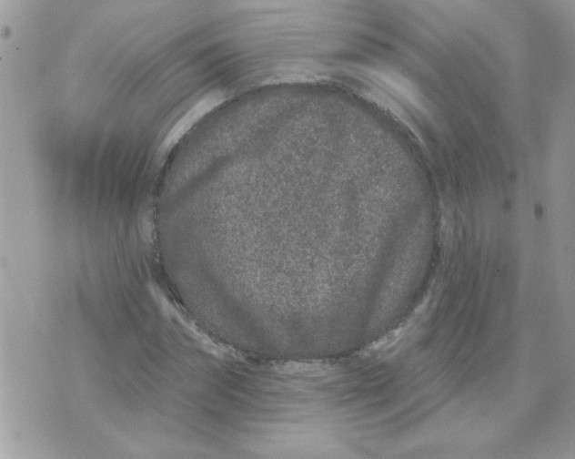 X0000071340874200607212029