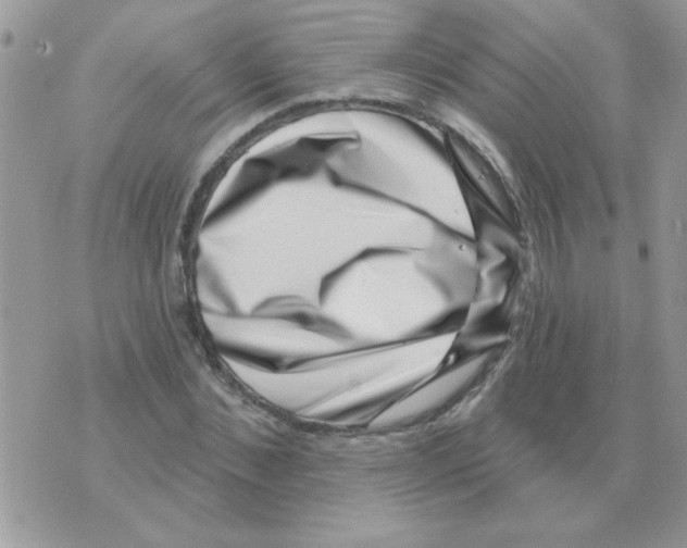 X0000071340876200607212029
