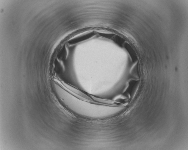 X0000071340880200607212029