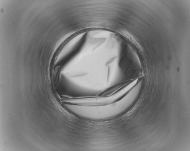X0000071340884200607212029