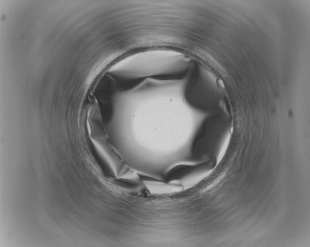 X0000071340885200607212029